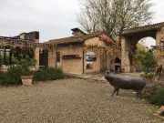 My Gallery (5/11)
